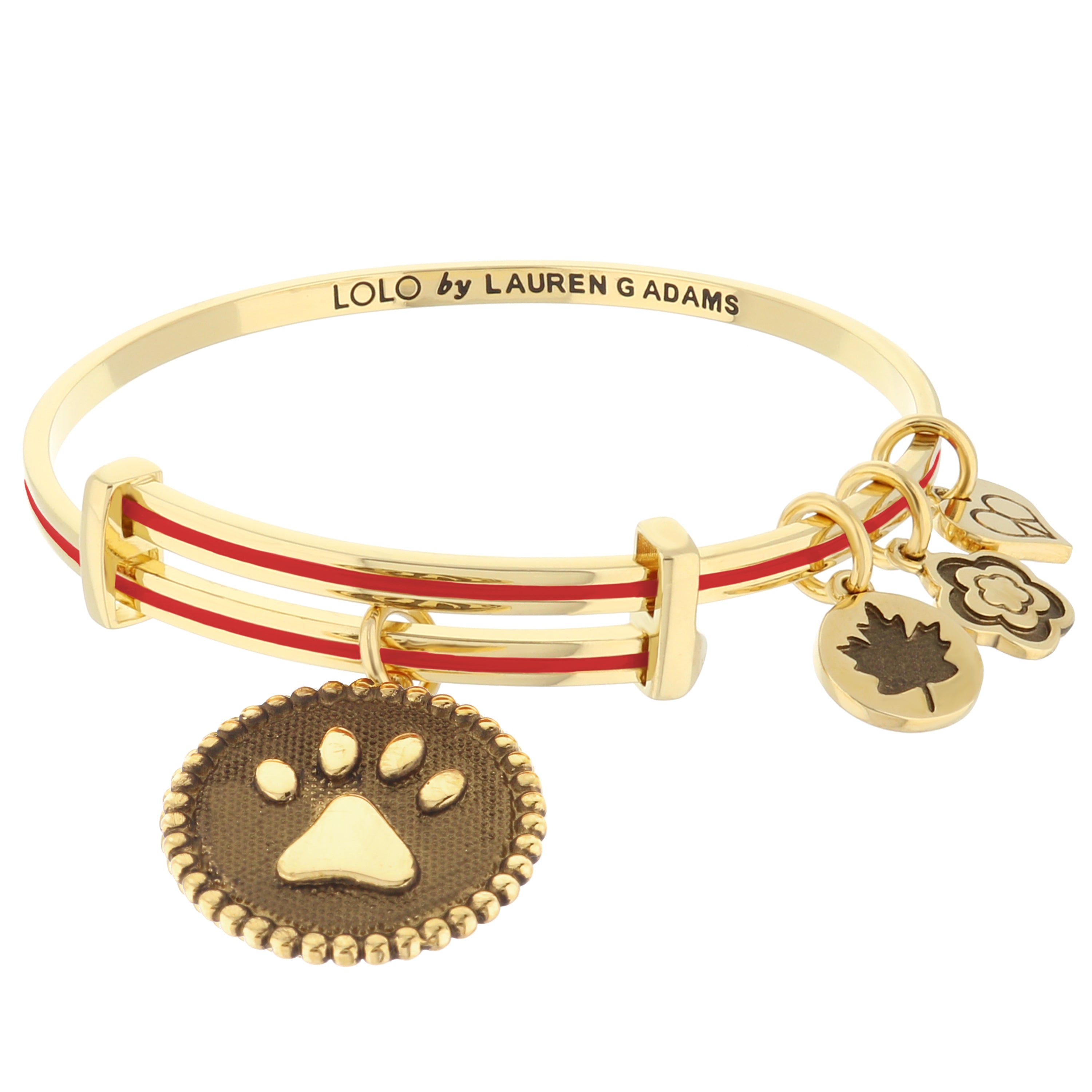 Alex and ani sales bracelets dog paw