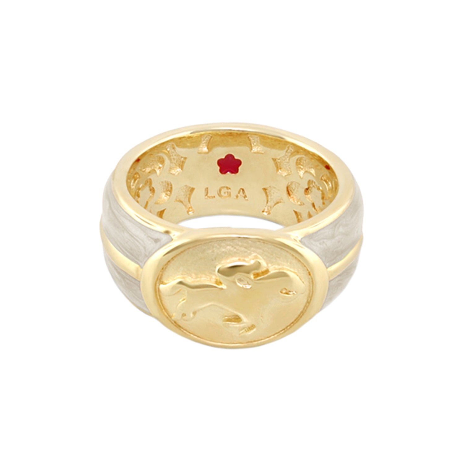 Equestrian Ring