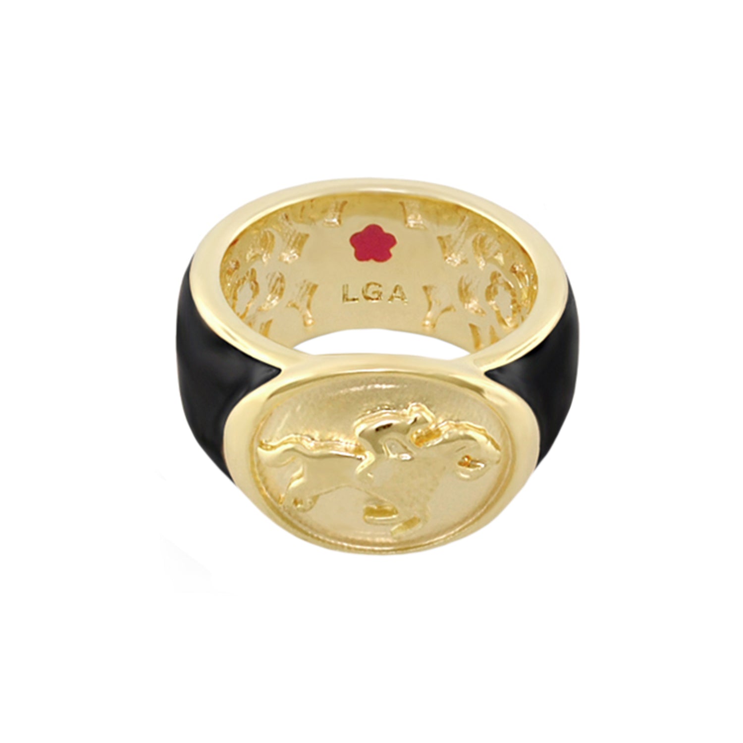 Equestrian Ring