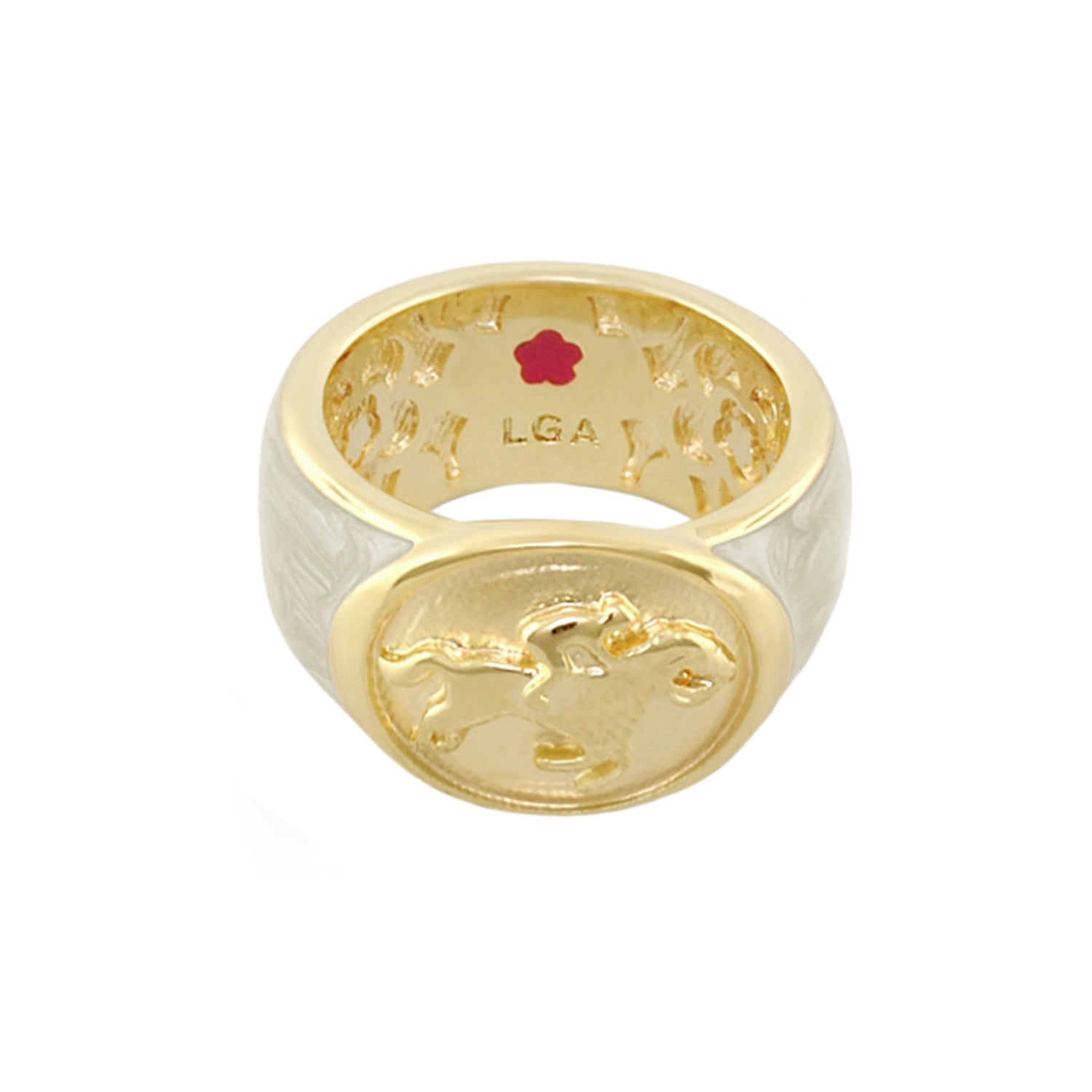 Equestrian Ring